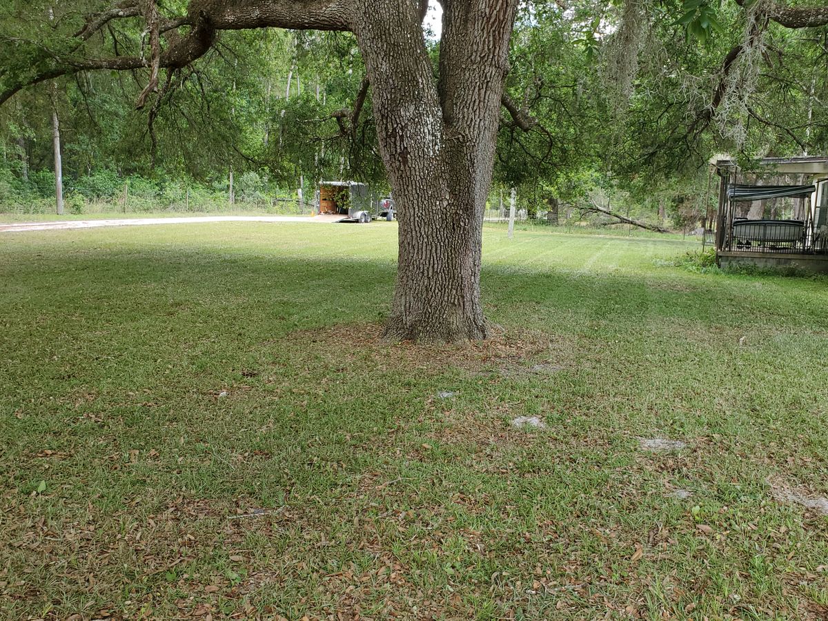 Mowing for Village Lawn Services LLC in Lake Panasoffkee, FL