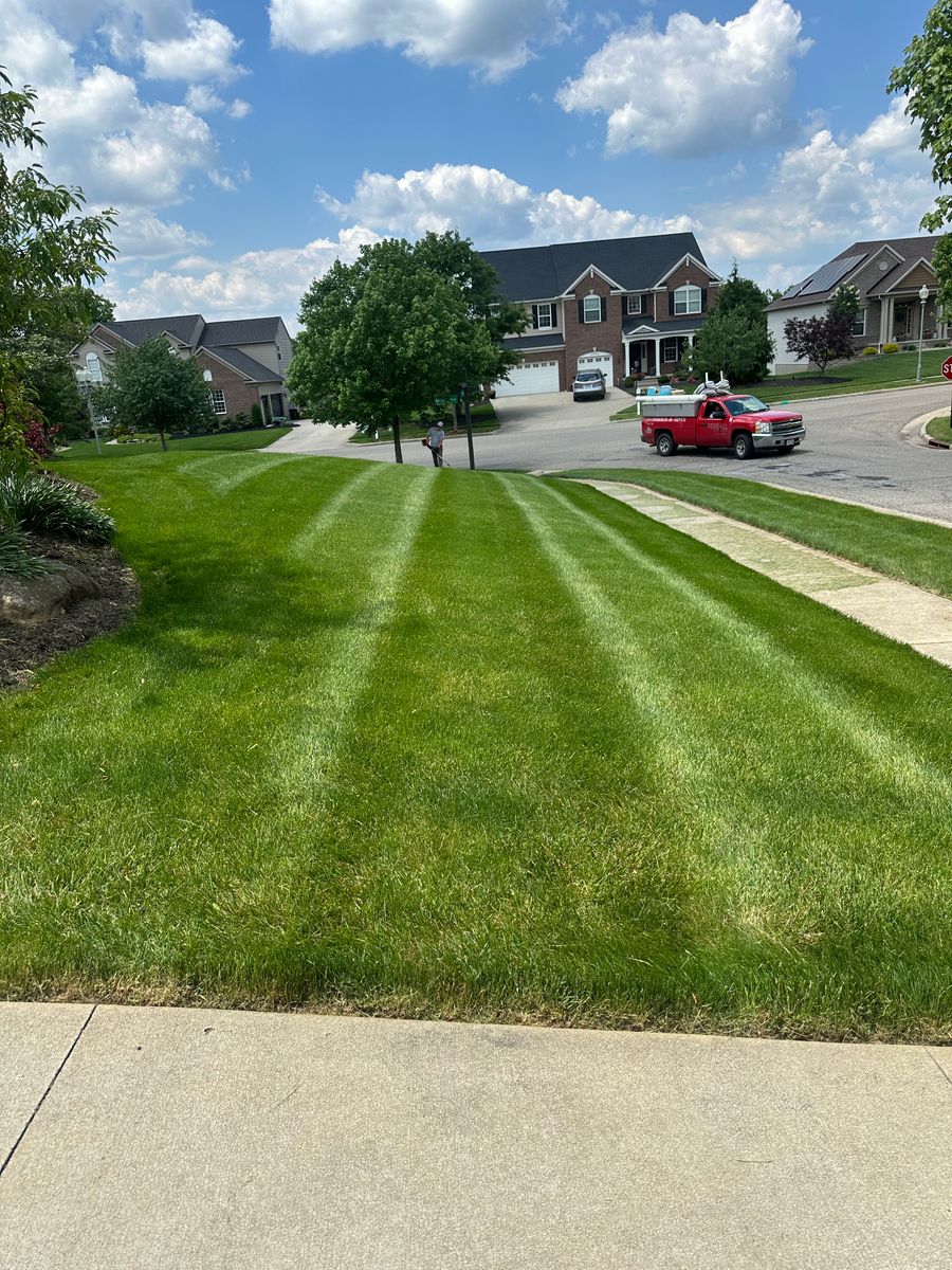 Spring Cleanup for Jenkins Landscaping & Property Management LLC in Clinton, OH
