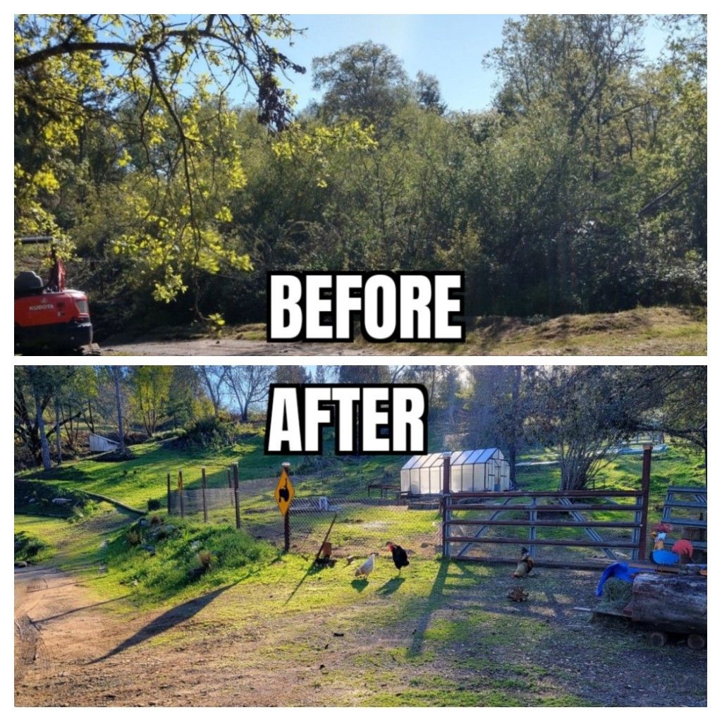 Land Clearing for Ren Levine Construction in Novato, CA