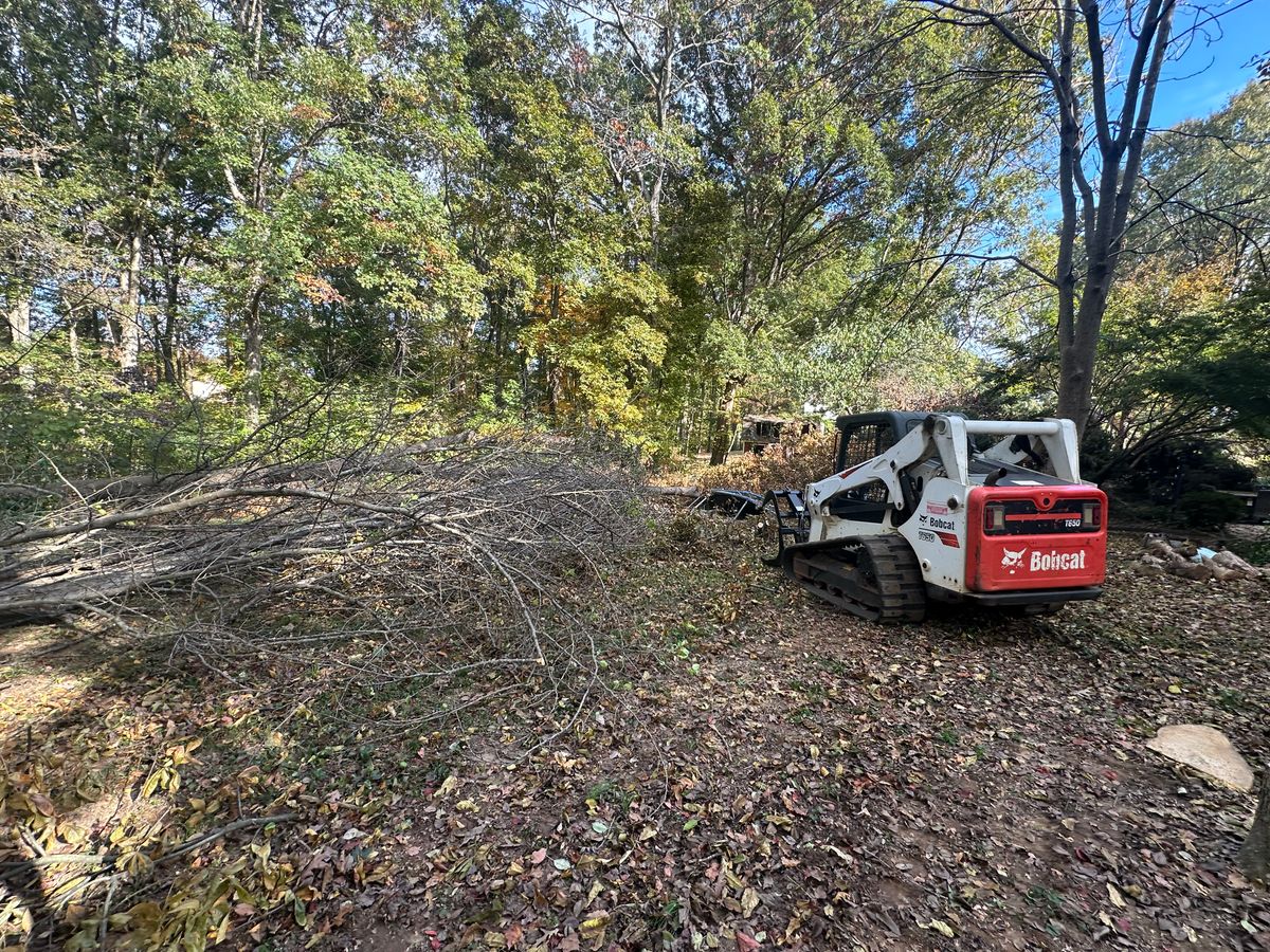 Tree Service for Cisco Kid Landscaping Inc. in Lincolnton, NC