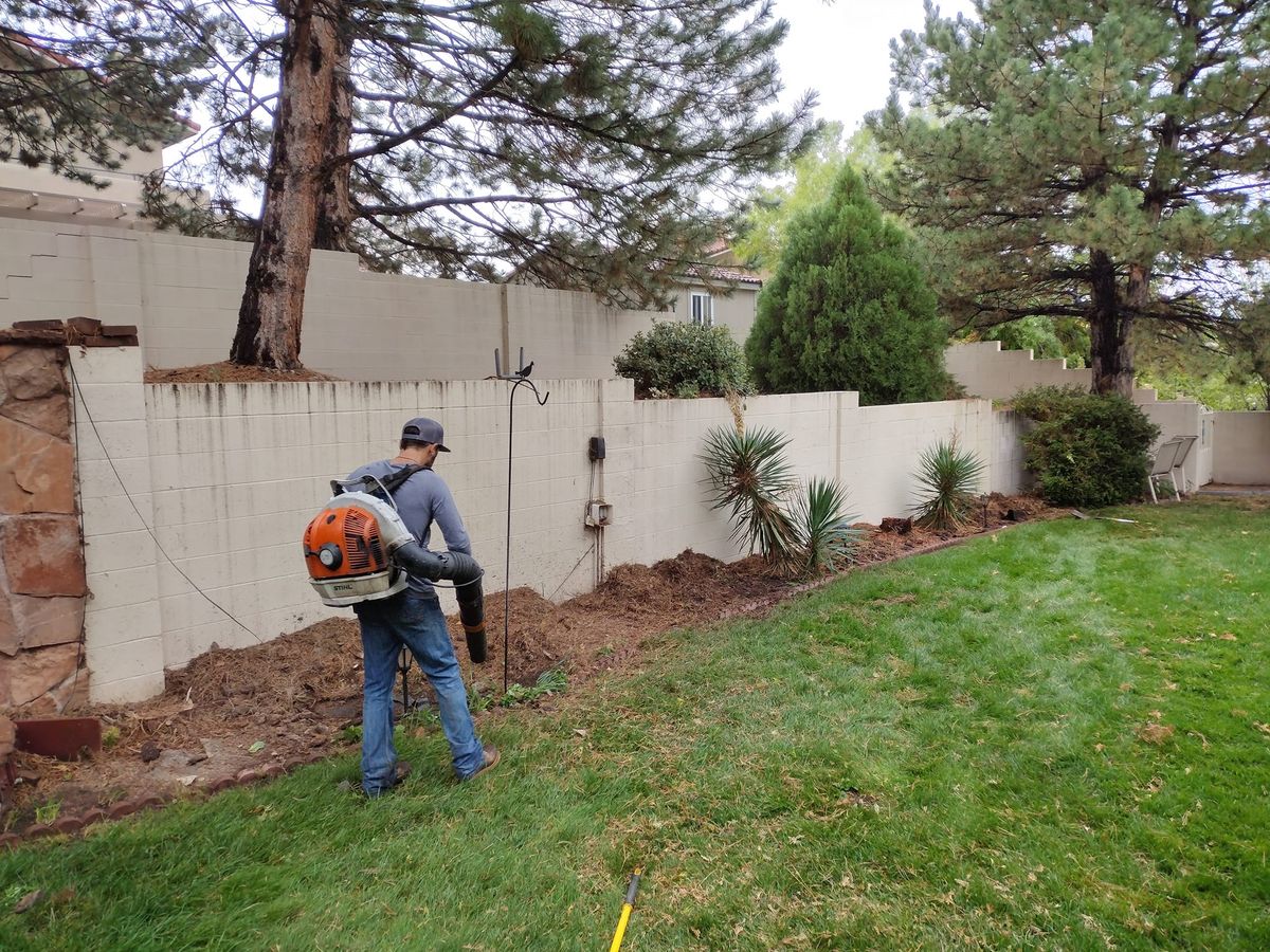 Fall Clean Up for 2 Brothers Landscaping in Albuquerque, NM