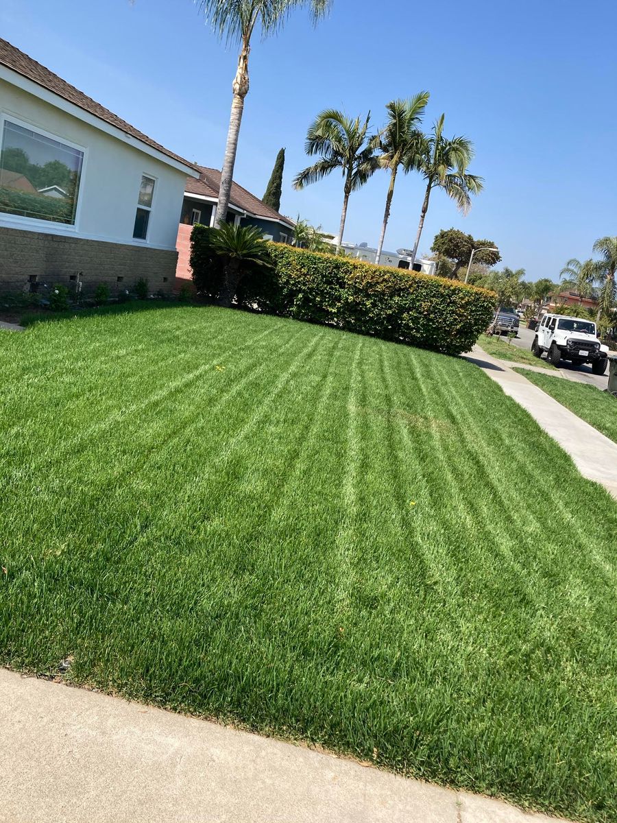 Lawn Maintenance for Green Planet Services in La Habra Heights, CA