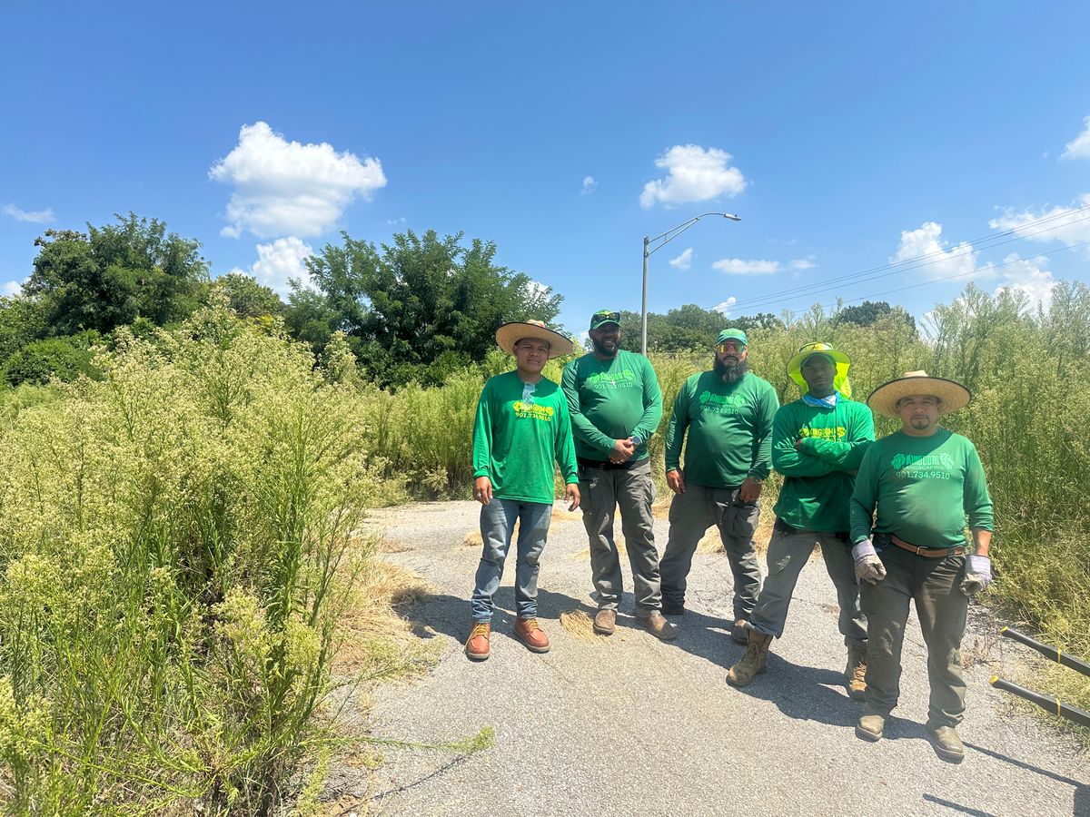 Weed Control! for Kingdom Landscaping in Memphis, TN