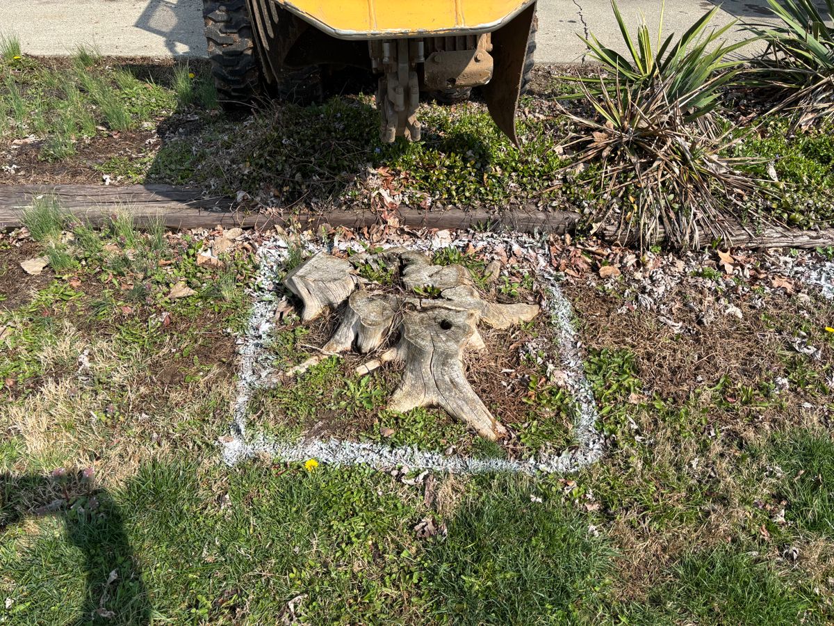 Stump Removal for Conrad's Stump Removal in Columbus, IN