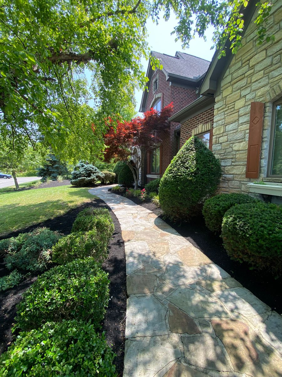 Shrub Trimming for Castle JR Landscaping & Painting LLC in Cincinnati, OH