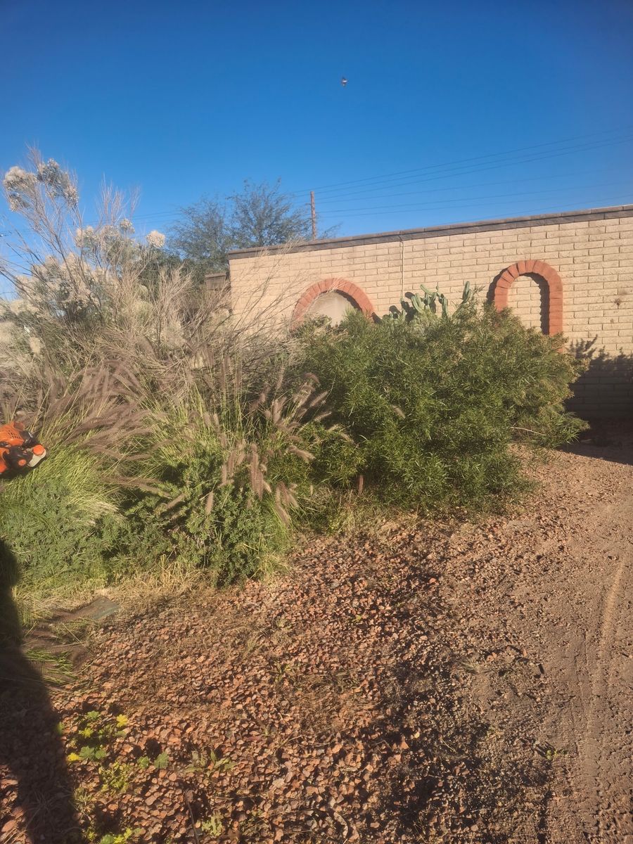 Mowing for Family Landscaping in Phoenix, AZ