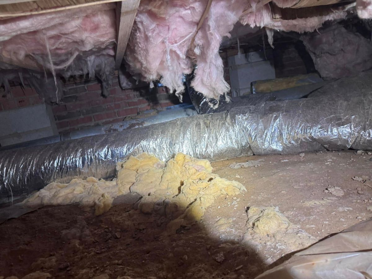 Insulation for Comfort 101 in Clinton, NC