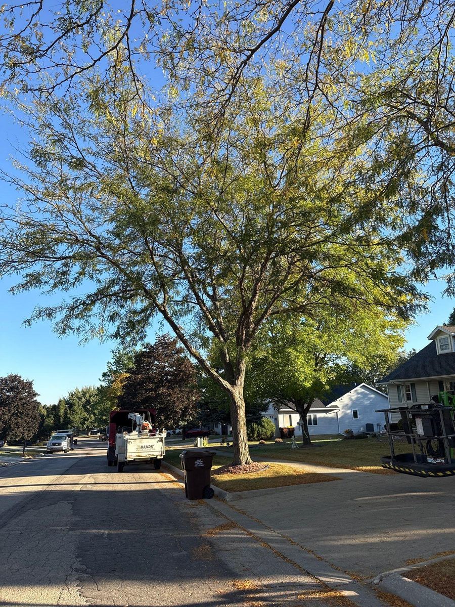 Fall Clean Up for Fransen's Tree Service  in Freeport, IL