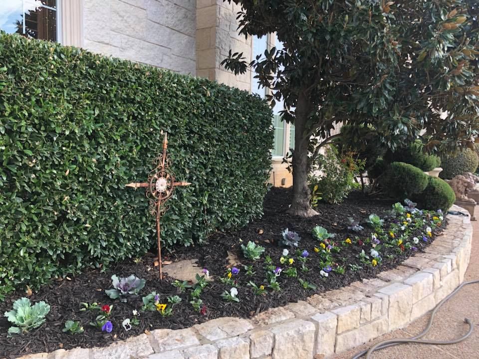 Shrub Trimming for E&D Landscape Services in Mansfield, TX