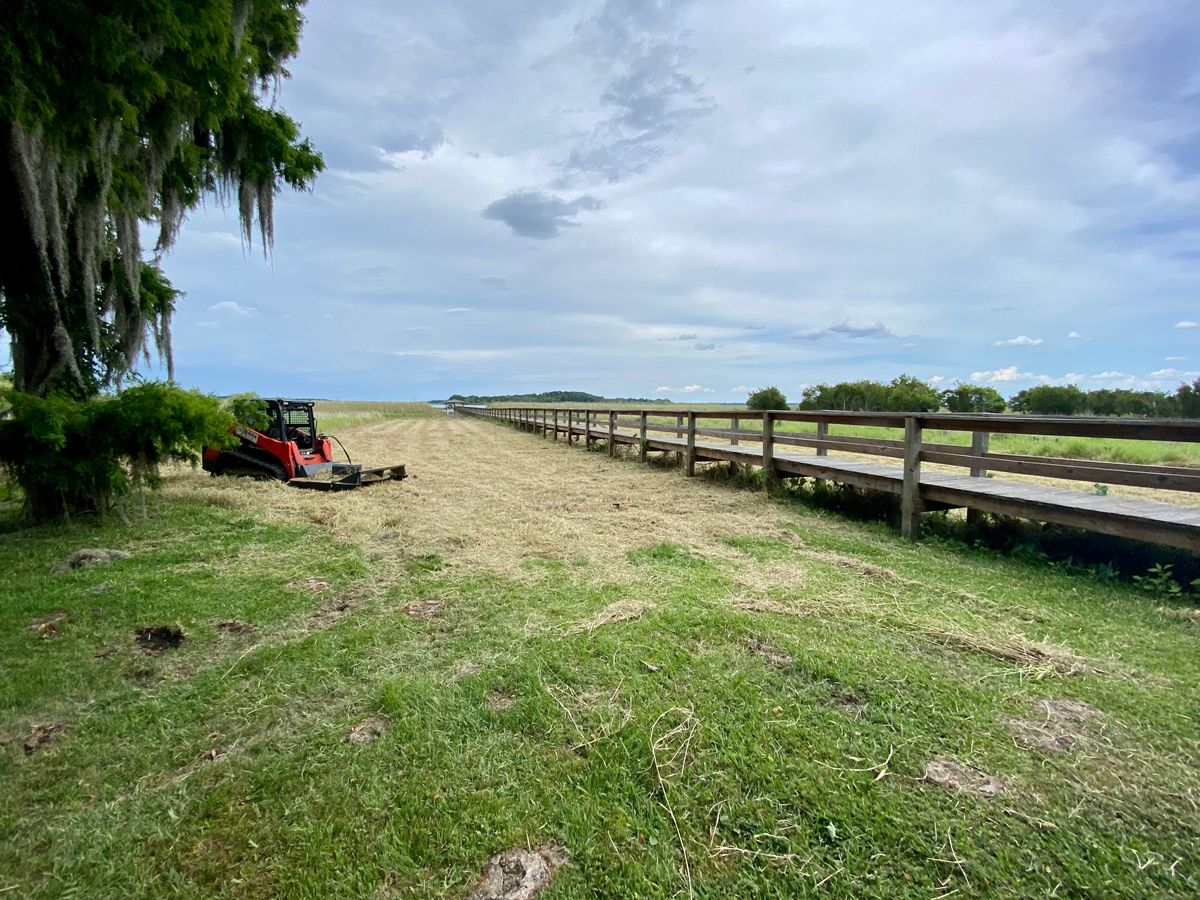 Brush Cutting & Bush Hogging for C & S Grading in Saint Cloud, FL