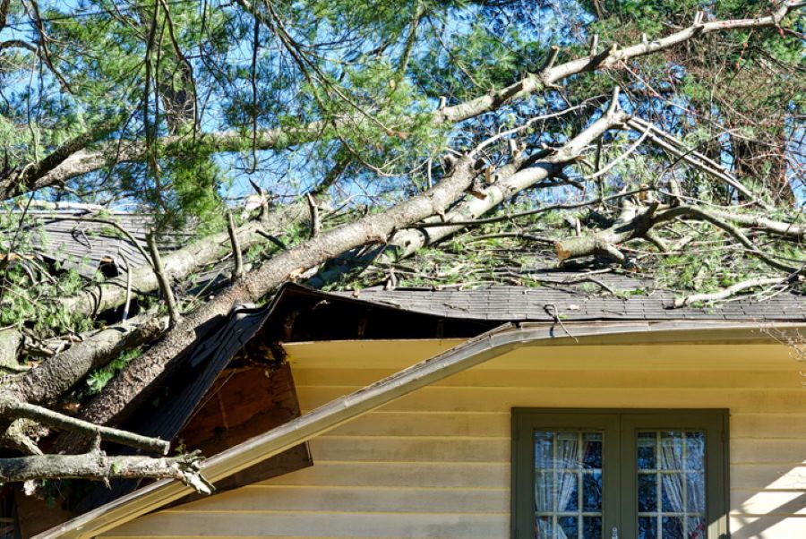 Storm Damage for American Renovations in Oconee County, SC