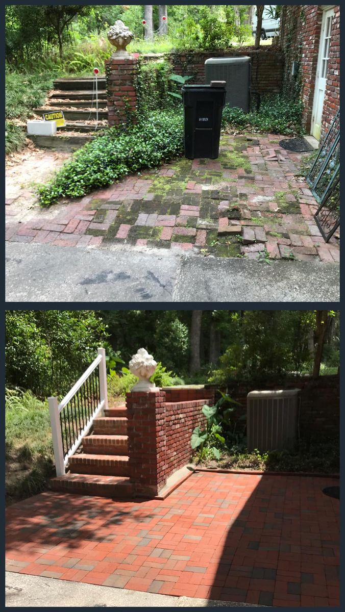 Landscape & Property Cleanup for Kings Legacy Services in Gainesville ,  FL