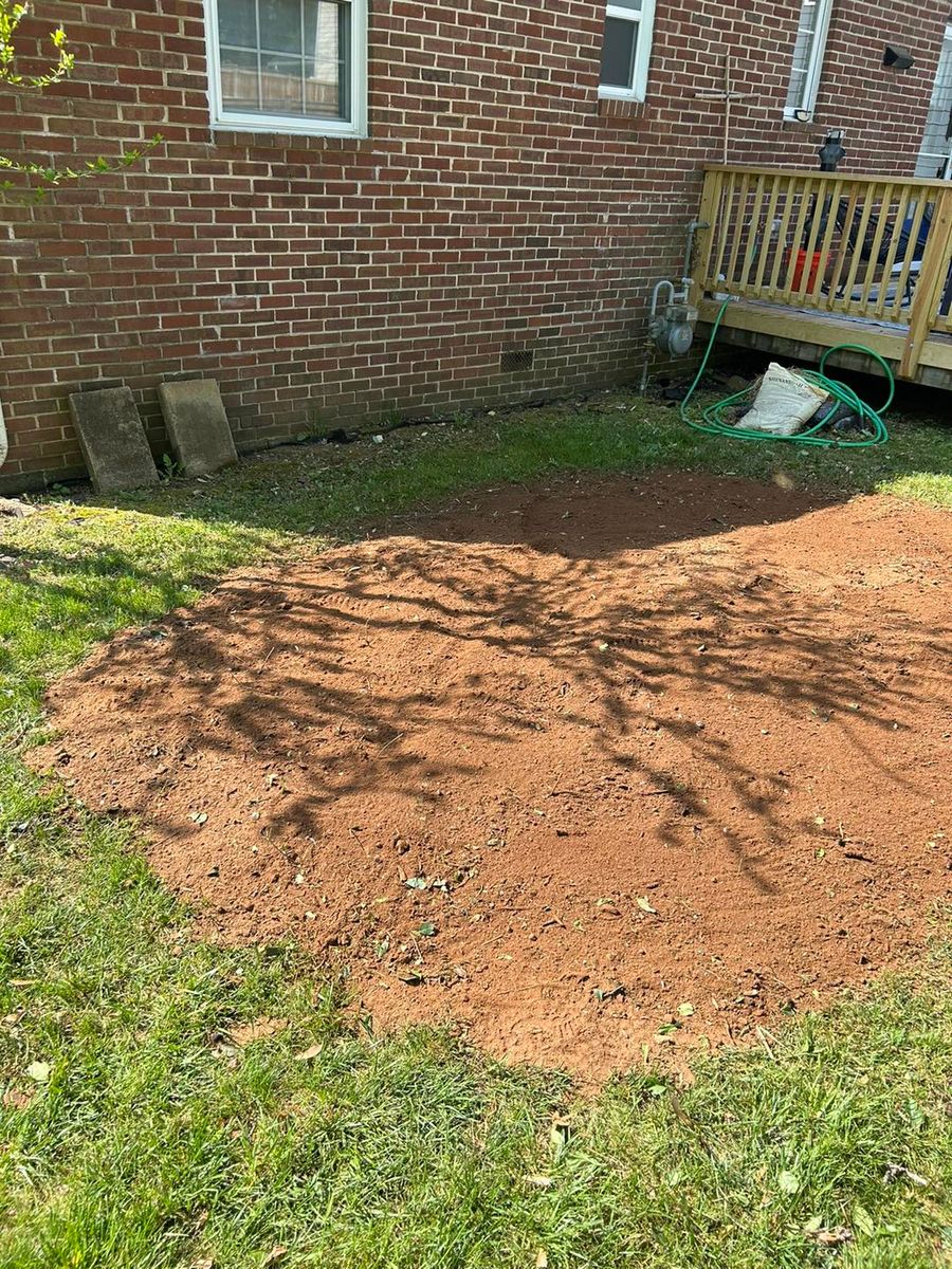 Brush Clearing for Mad Dust Stump Grinding in Howard County, MD