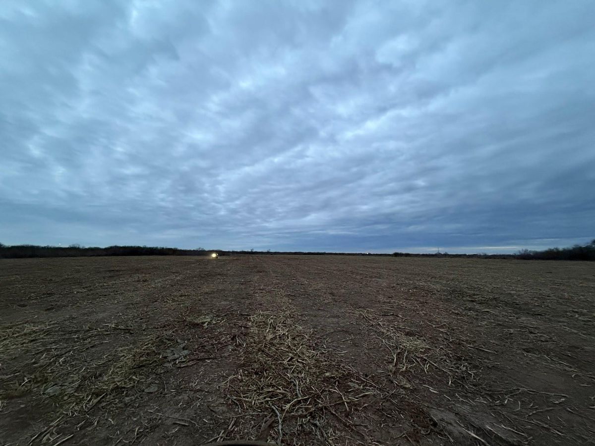 Site Work for Strause Land Improvement & Construction in George West, TX