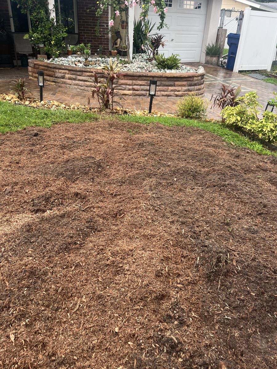 Stump Removal for KB’s Stump Removal in Seminole, FL