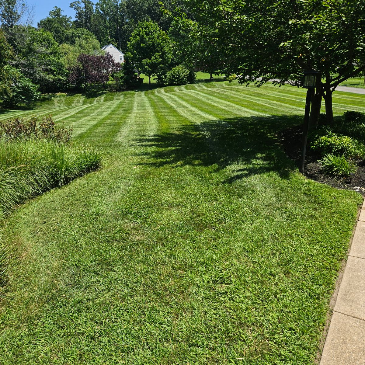 Lawn Maintenance for Sam I AM Property Solutions in Sunderland, MD