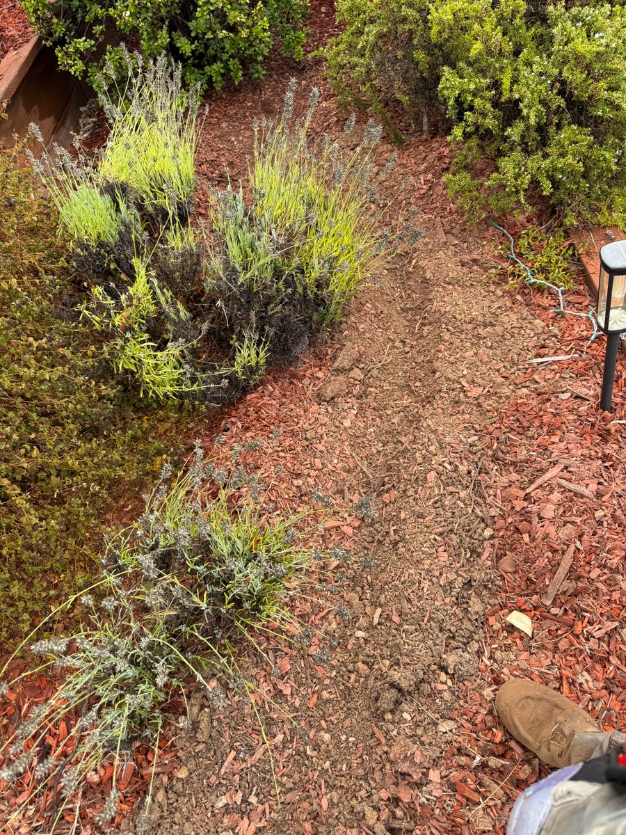 Shrub Trimming for CBA Landscaping in Hayward, CA