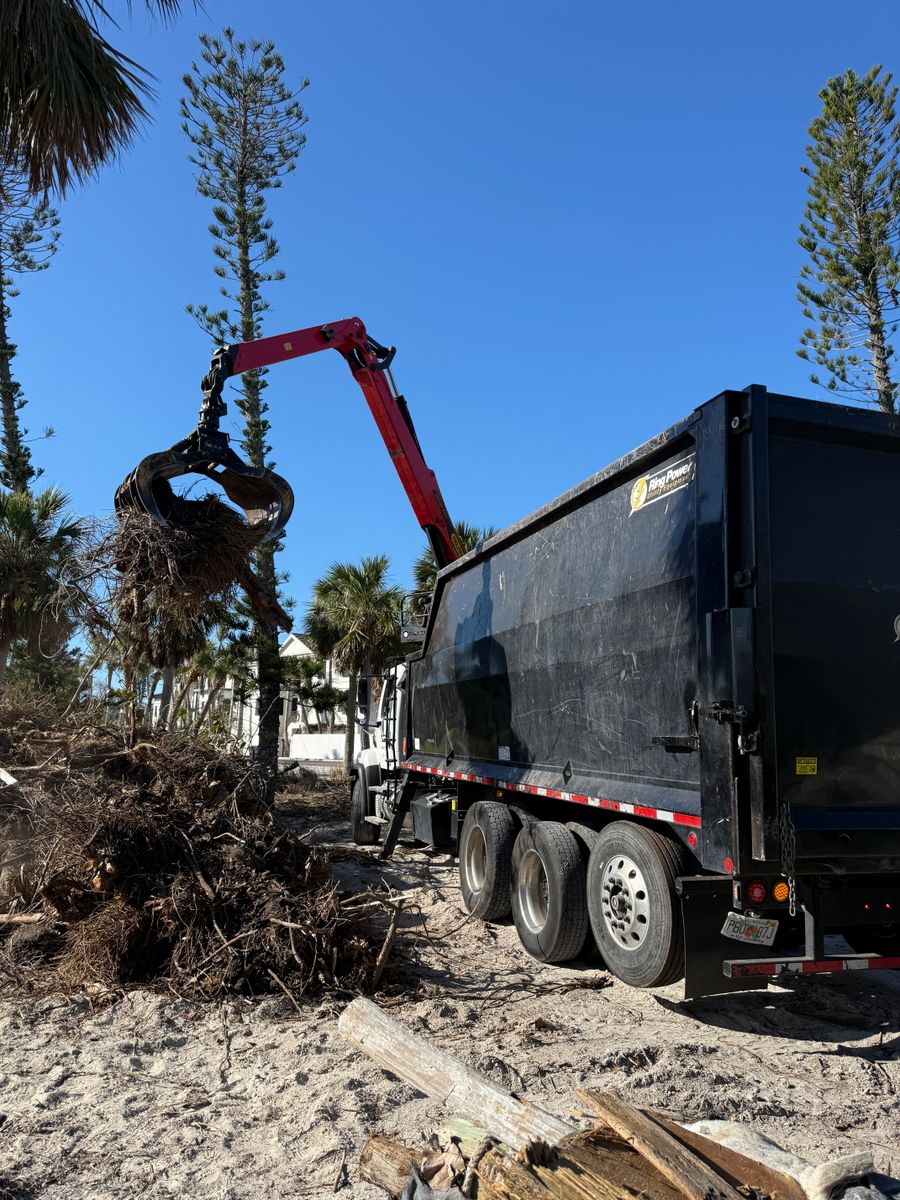 Stump Removal for Damian’s Tree Care in Sarasota, FL