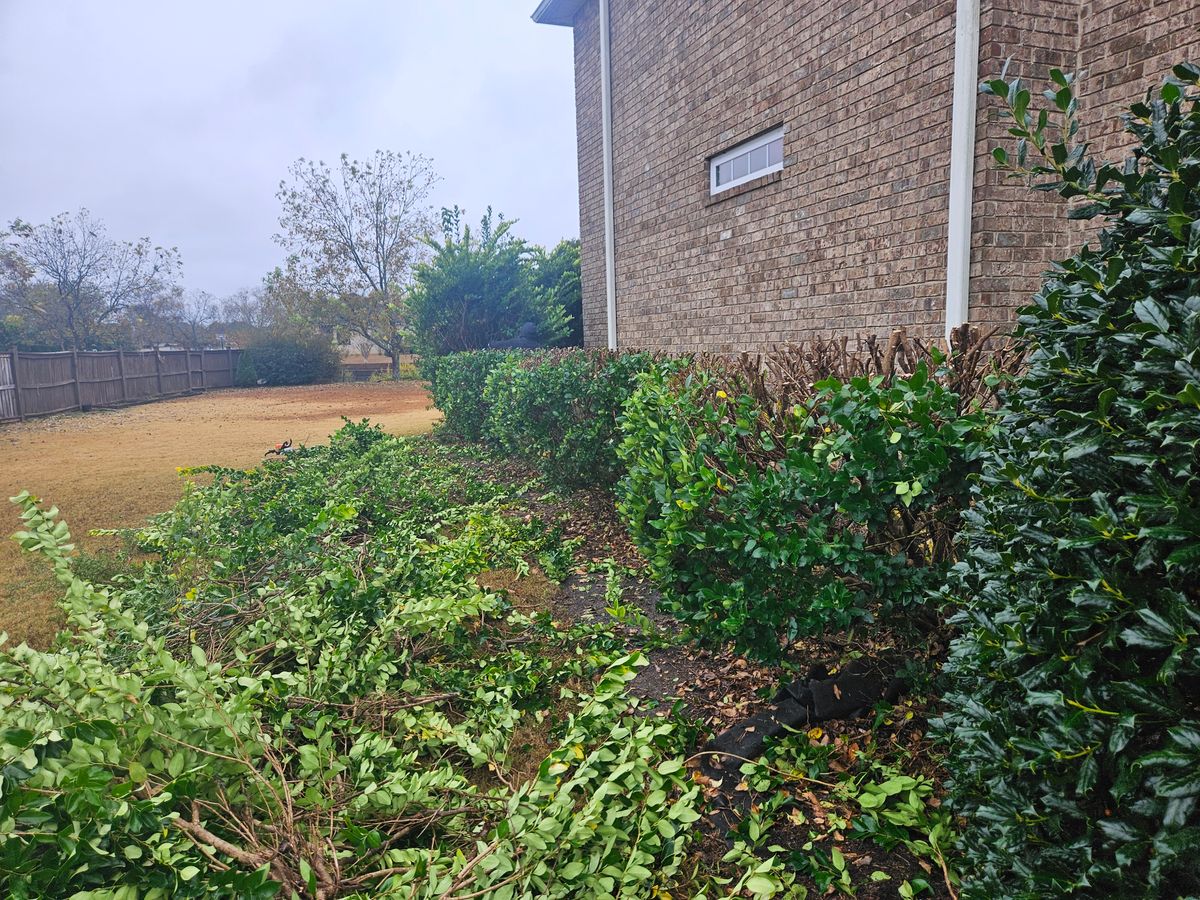 Fall Clean Up for Zepeda's Mowing in Fort Valley, GA