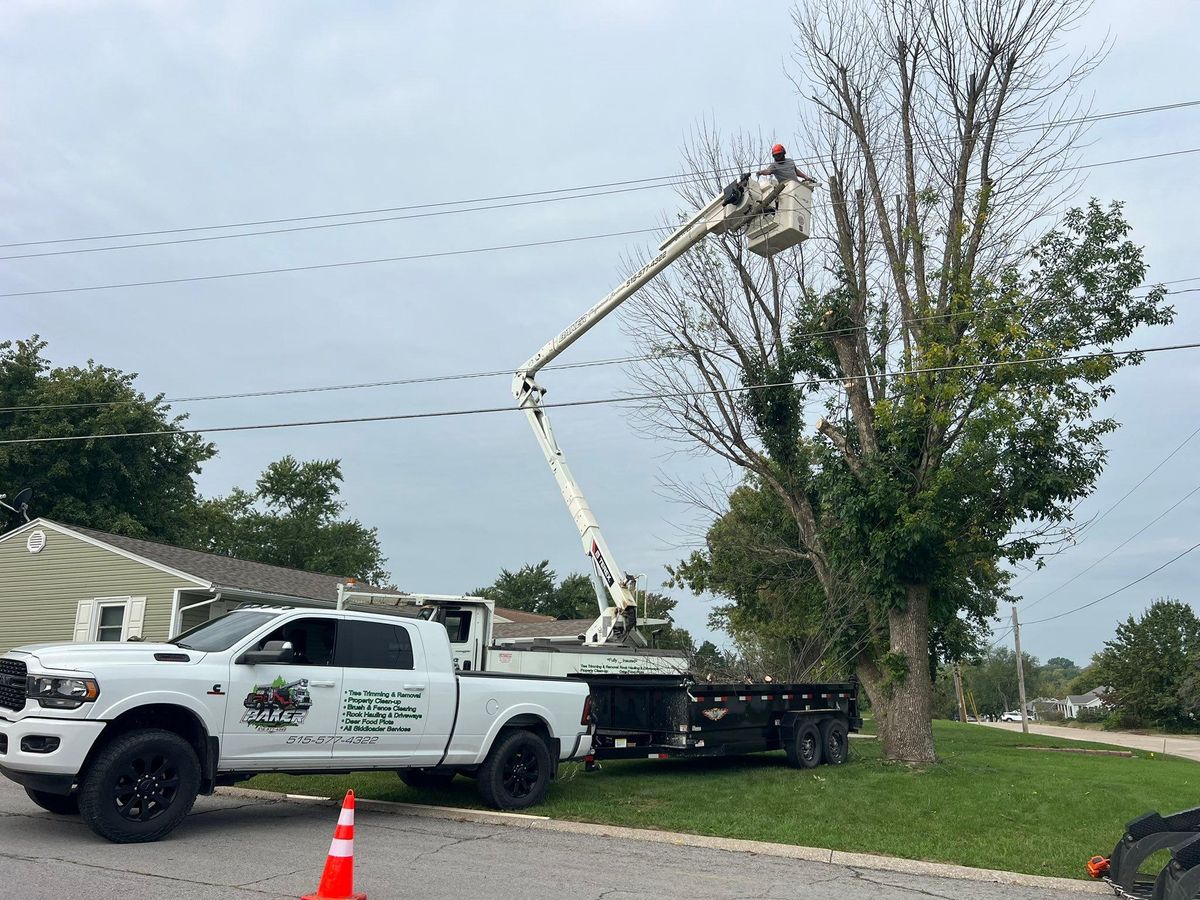 Property Clean Up for Baker Professional Services LLC in Shelbina, MO