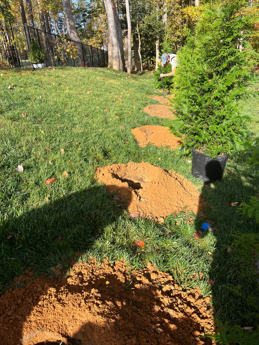 Tree and Shrub Installation for Atlas Home Services in Mechanicsville, VA