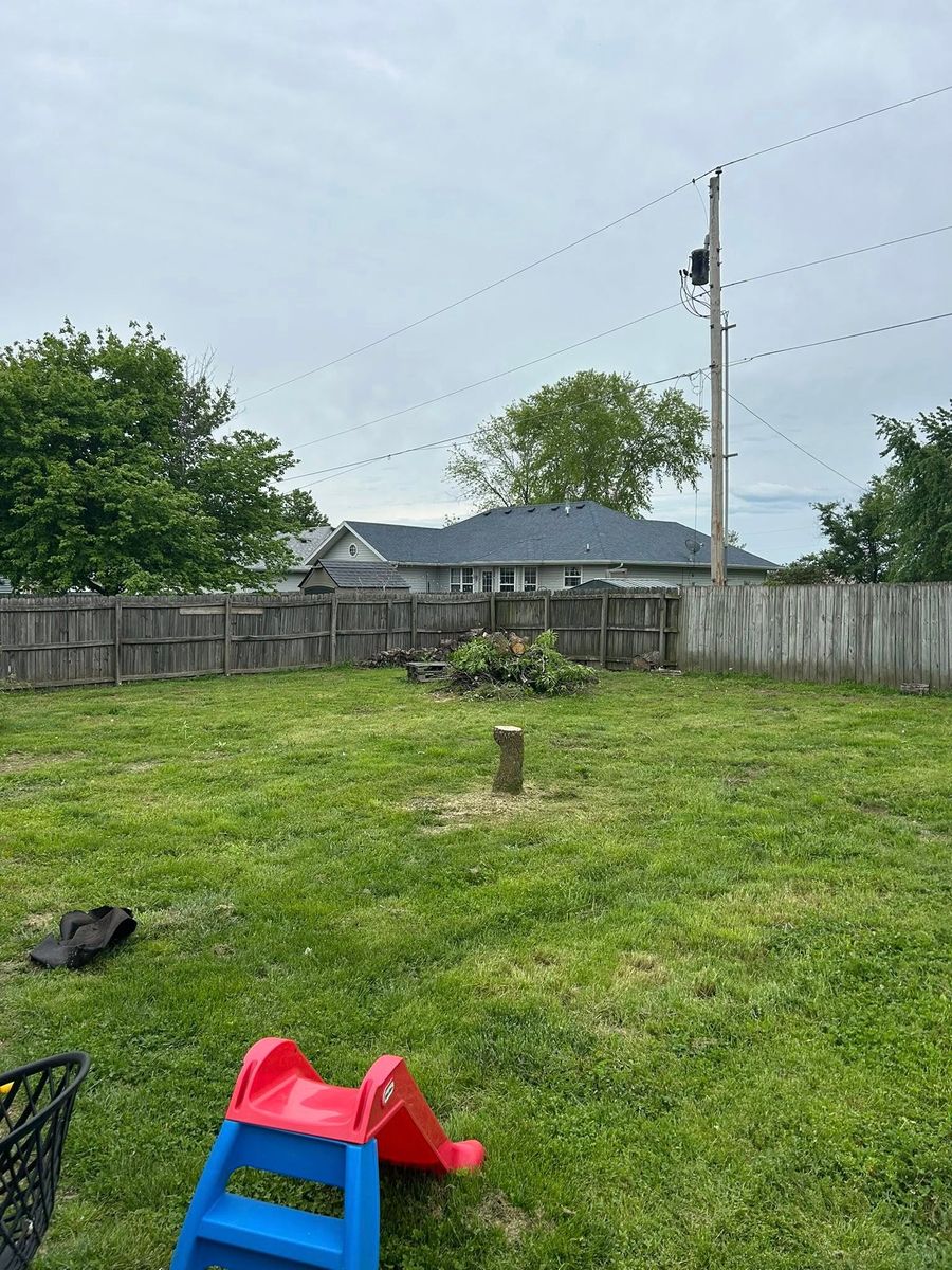 Tree Removal for Mowraculous in Republic, MO