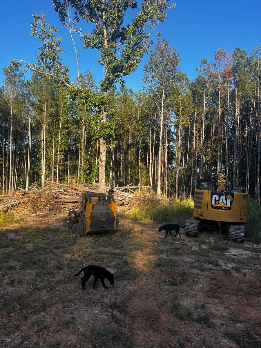 Land Clearing for Southern Roots Services in Carrollton, GA