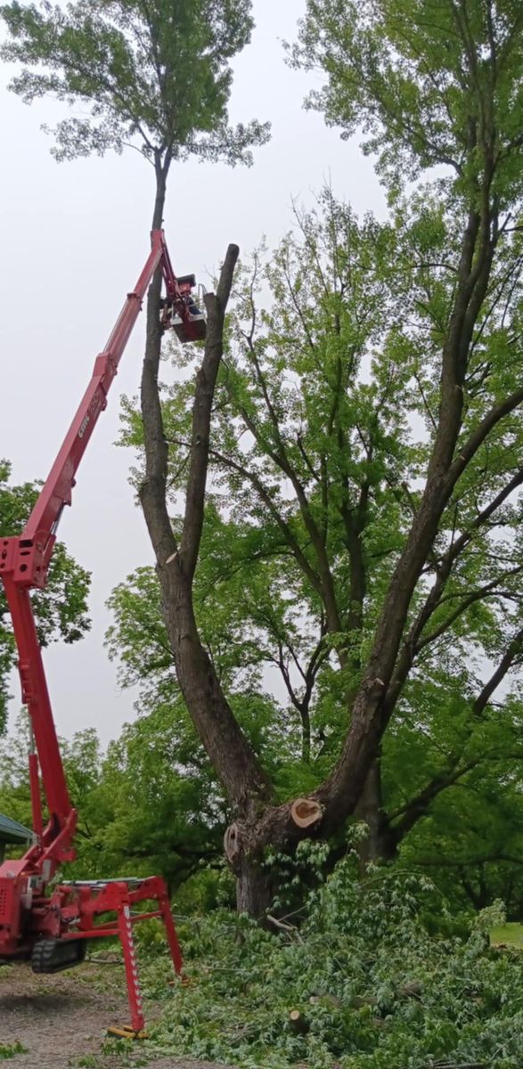 Tree Trimming for Lawn Ranger Yard And Tree Service LLC in Ottumwa, IA
