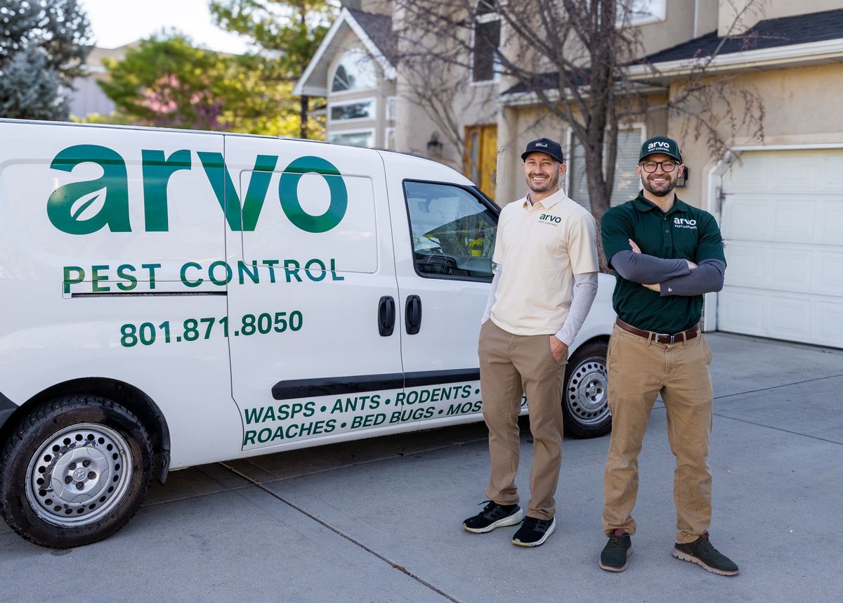 General Pest Control for Arvo Pest Control in Sandy, UT