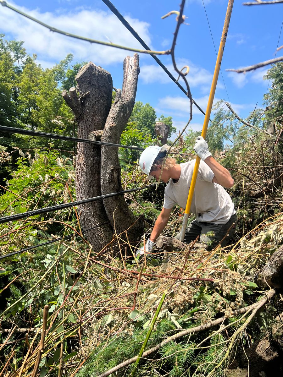 Communication Line Repairs for Hammons Construction LLC in Eugene, OR