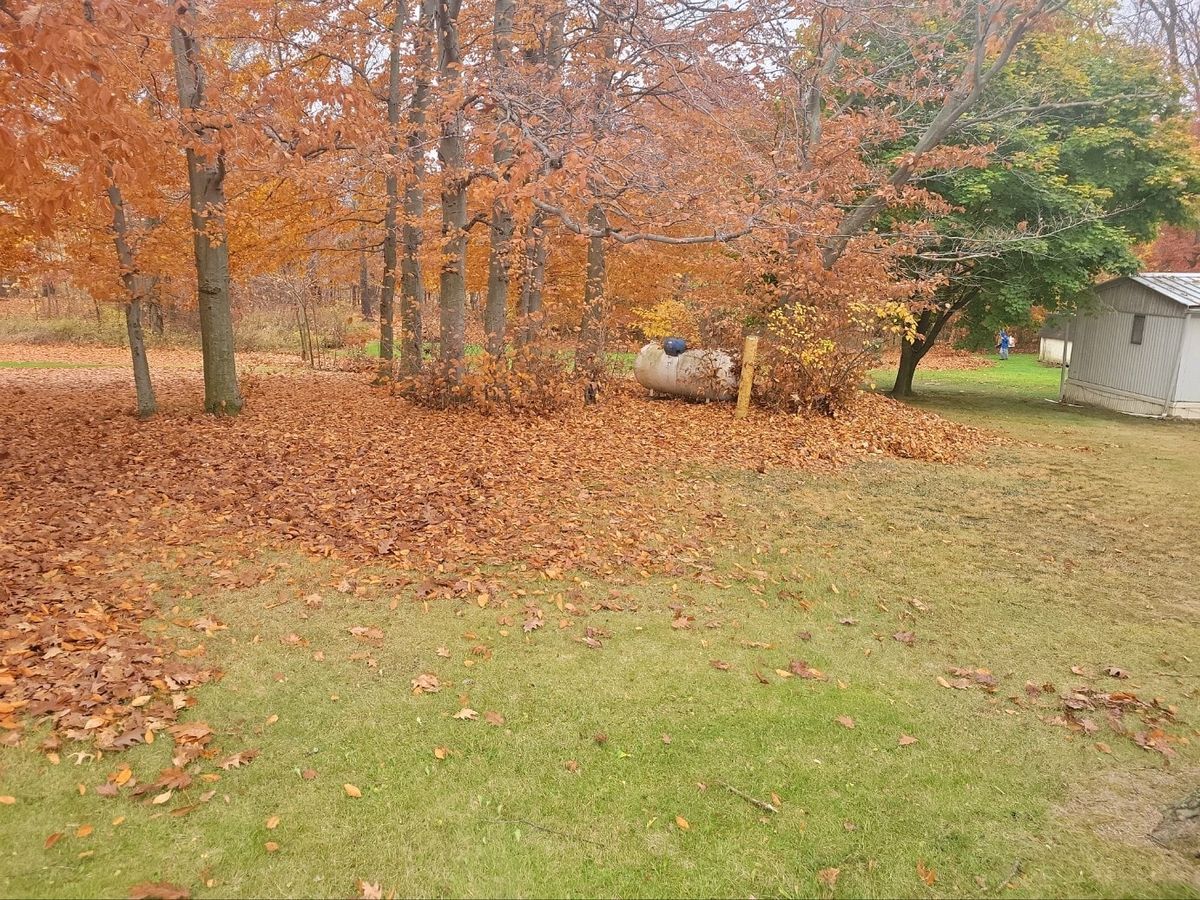 Leaf Removal for A&A Lawnworks in Maximo, OH