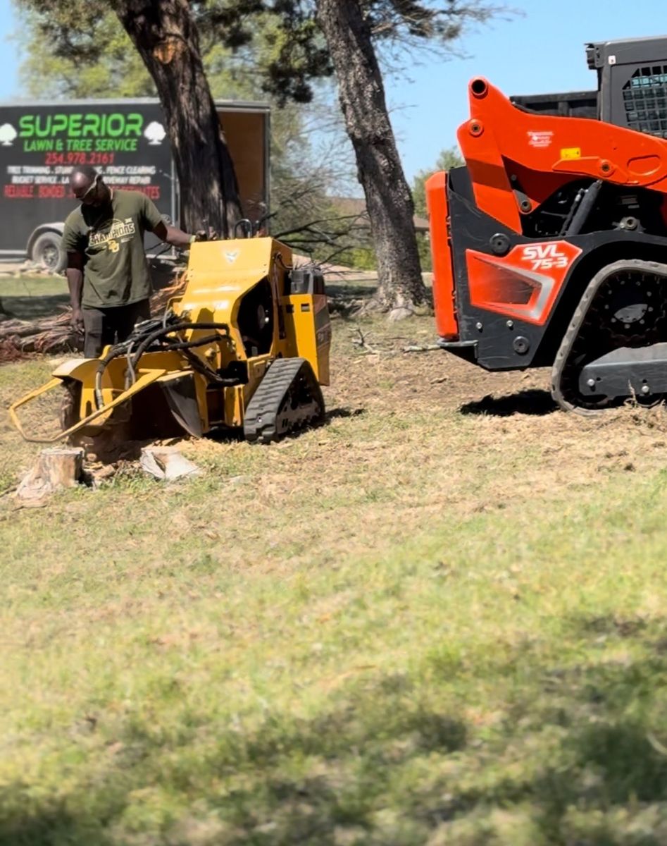 Stump Removal for Superior Lawn and Tree LLC in Clifton, TX
