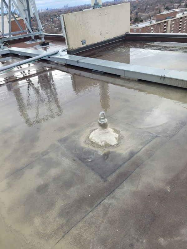 Roofing Inspections for Triumph Inc - Repair & Maintenance in Scarborough, ON