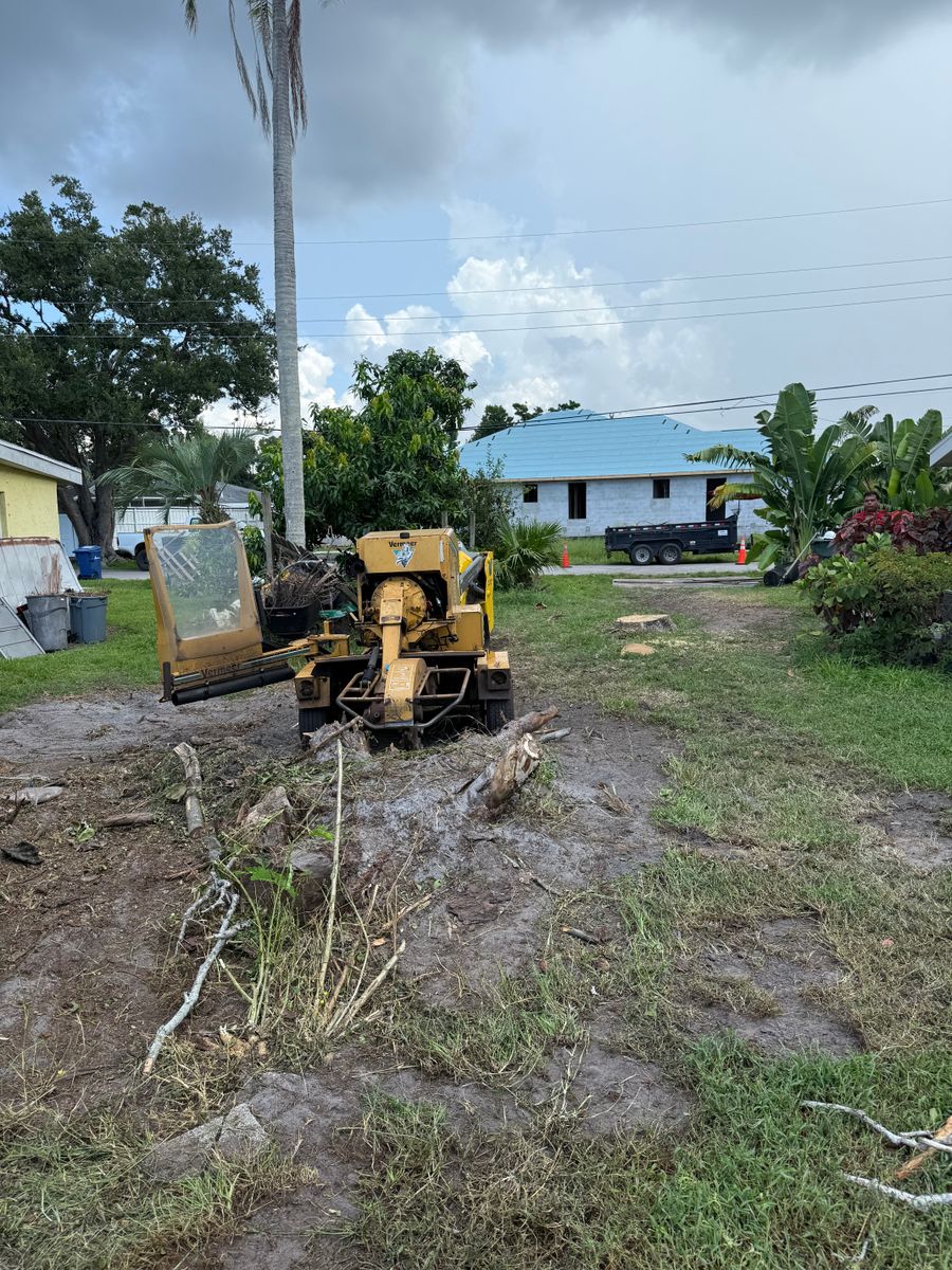 Stump Removal for Damian’s Tree Care in Sarasota, FL