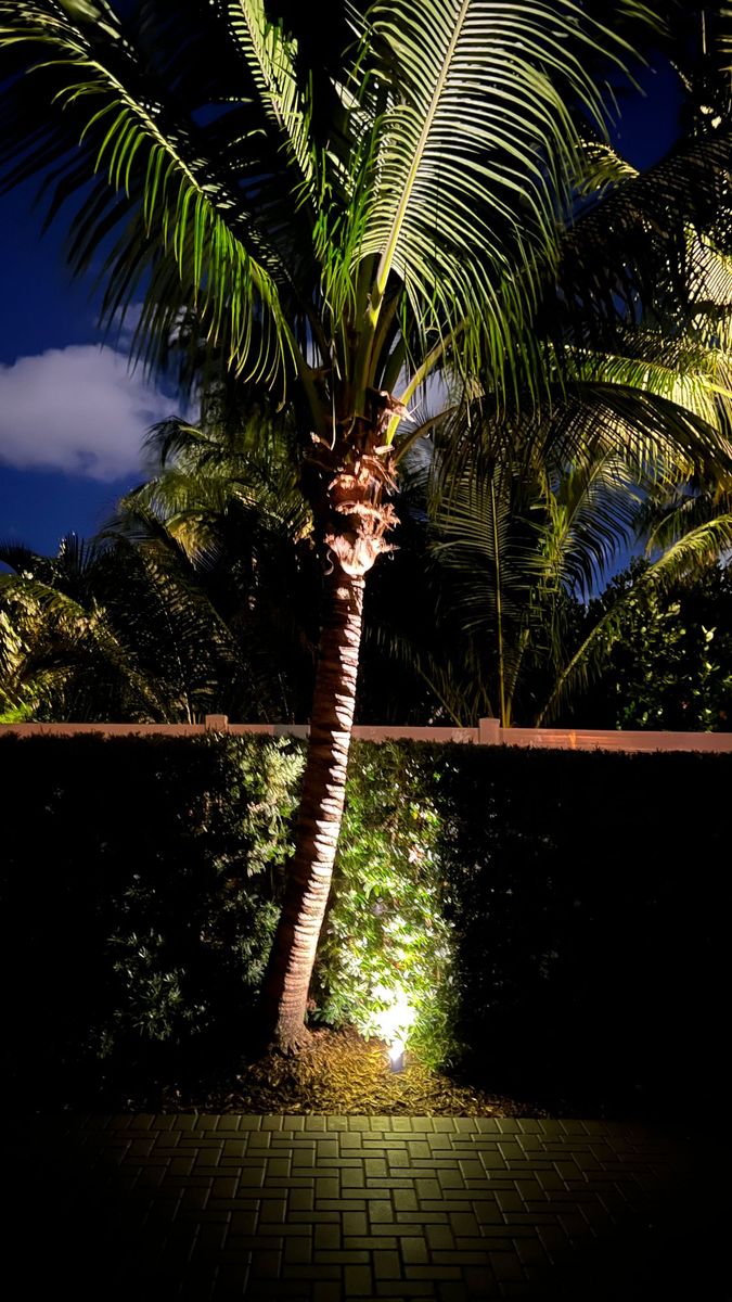 Landscape Lighting for South Florida Terra Systems in Boynton beach ,  FL