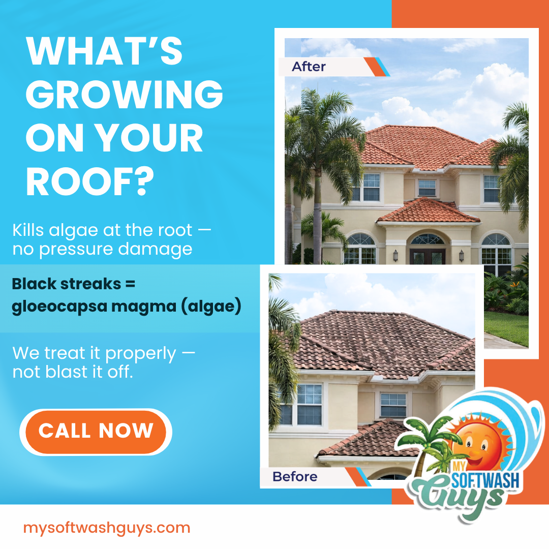 Roof Cleaning and power wash for My Soft Wash Guys in Venice, FL