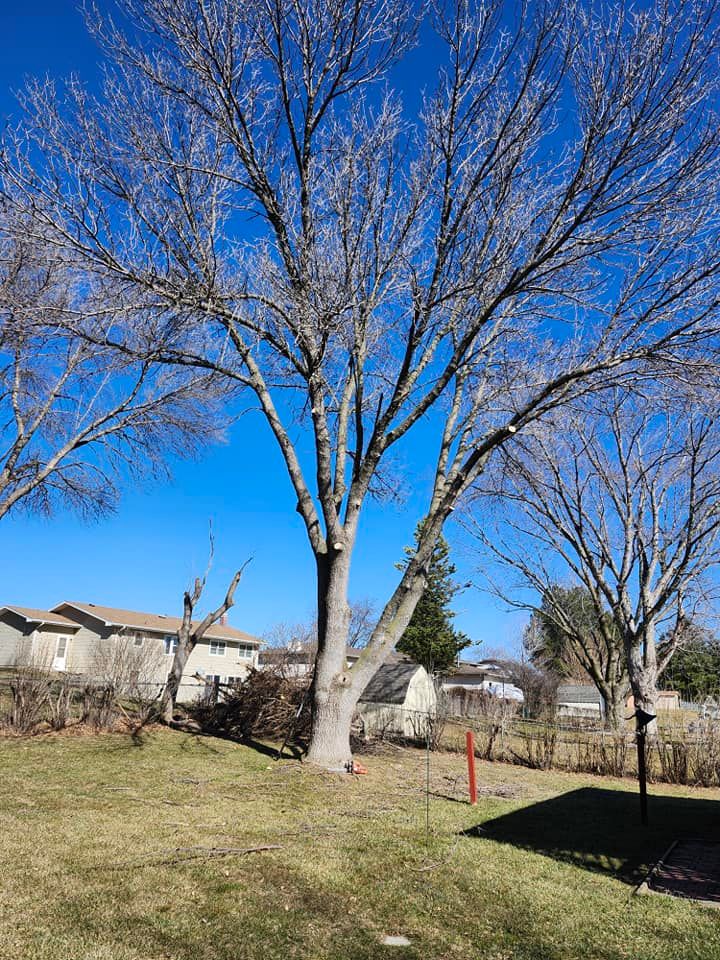 Tree Trimming for Uprooted LLC in Norfolk, NE