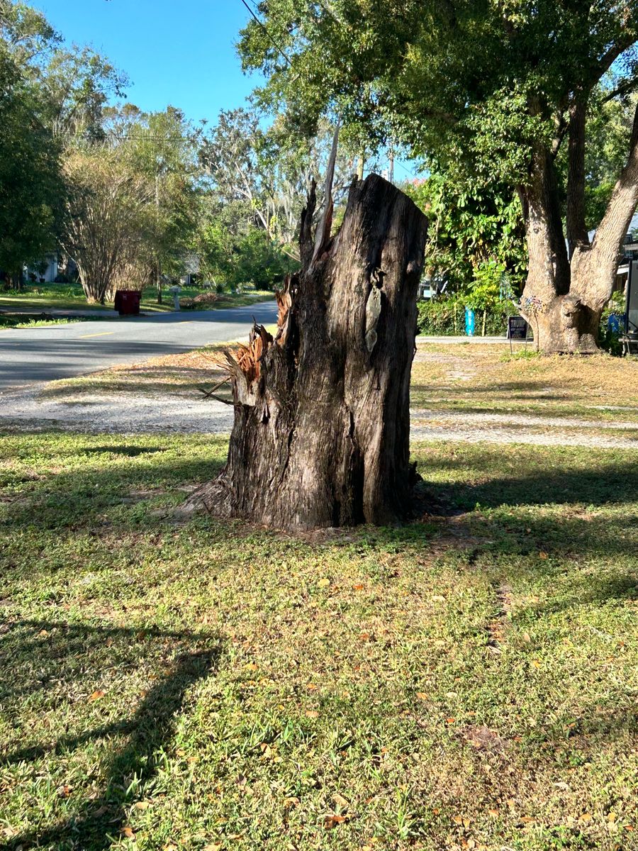 Tree Removal and Trimming for Greene Acres Stump Grinding in Plant City, FL