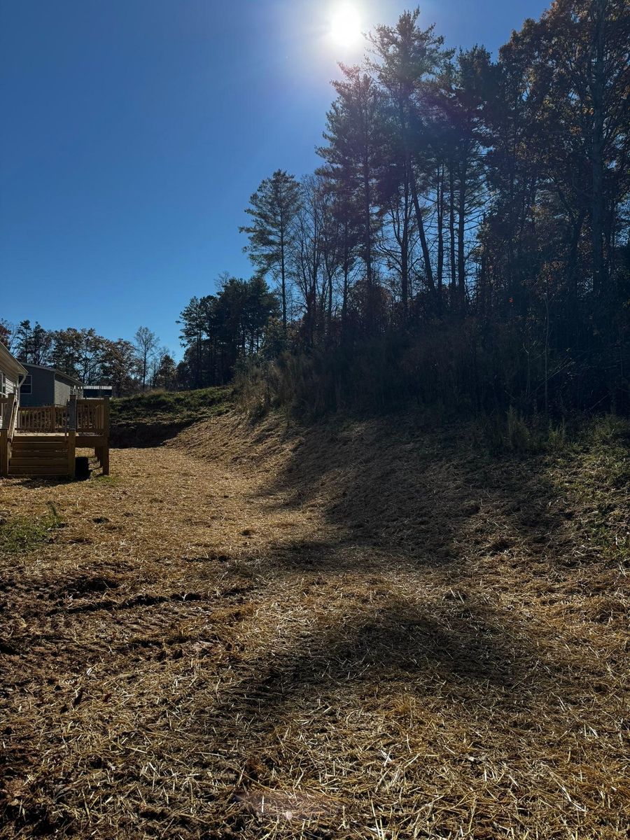 Tree Trimming for C & D Landscaping Services in Blairsville, GA