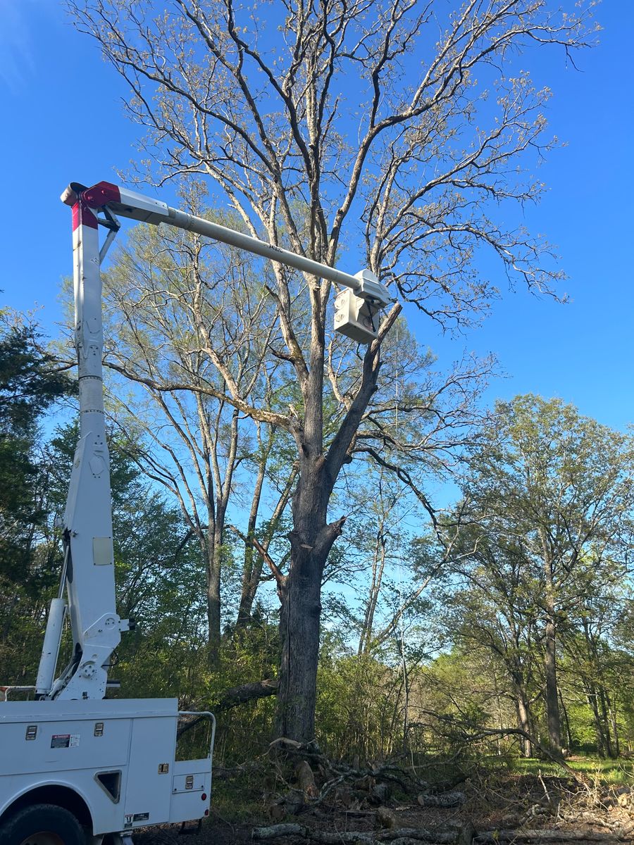 Land Clearing and Development for Triple H Construction in Cave Spring, GA
