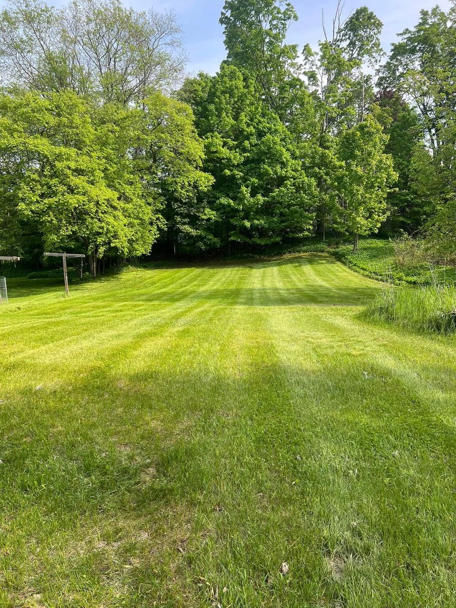Shrub Trimming & Tree work for CWB Lawn Care & Landscaping in Franklin County, ME