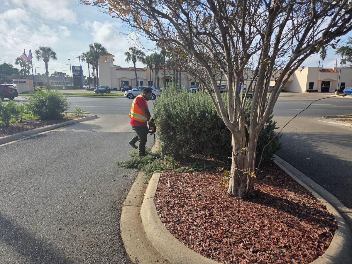 Landscape Design for Pro Lawn Care RGV in McAllen, TX