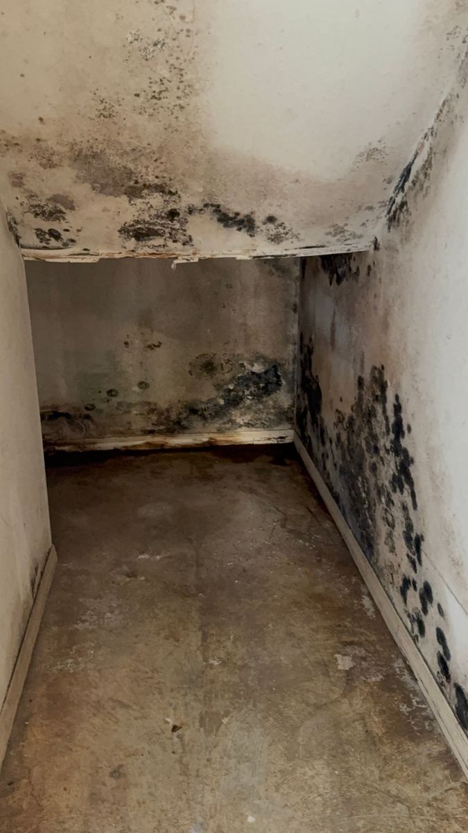 Mold Remediation for N&D Restoration Services: When Disaster Strikes, We Come In in Cape Coral,  FL