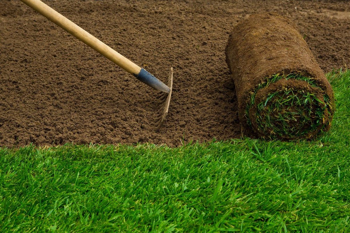 Sodding for All of the Above Landscaping in Orange Park, FL