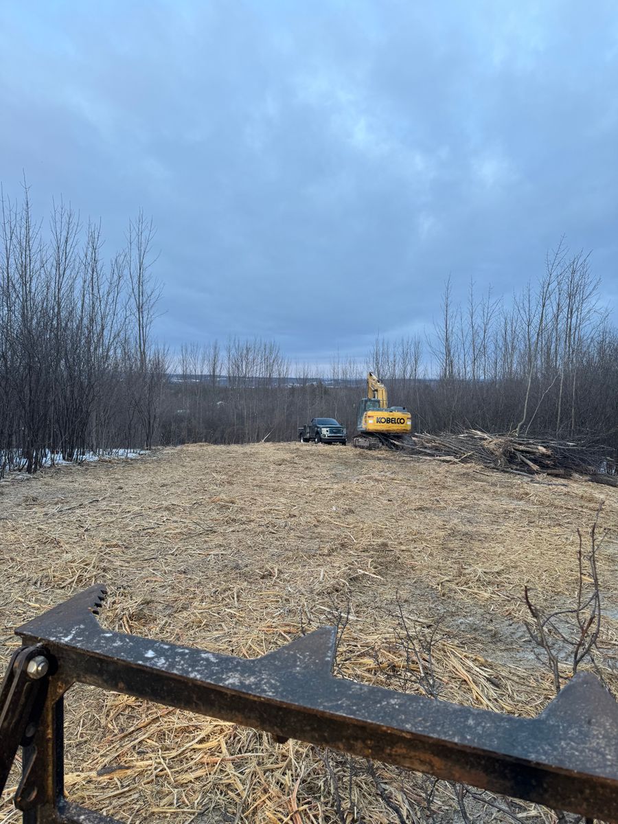 Forestry Mulching for Allstone Excavation in Rotterdam, NY