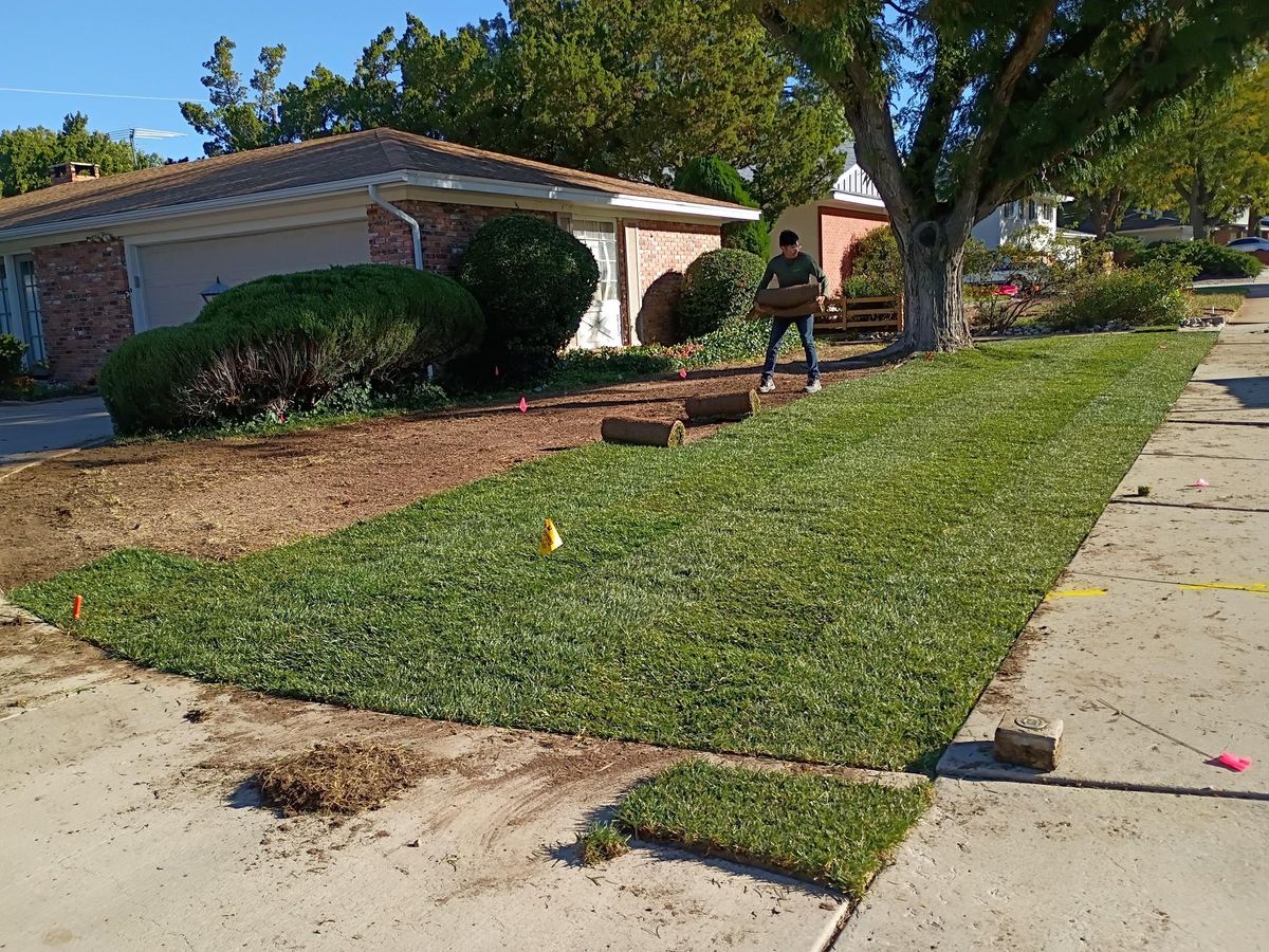 Sod Installation for 2 Brothers Landscaping in Albuquerque, NM