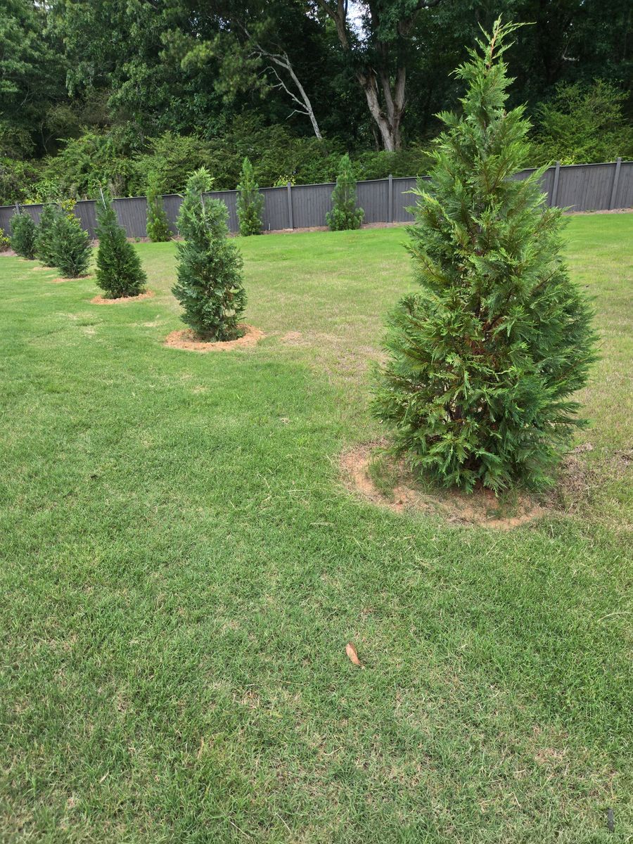 Mowing for Palmour's Lawn Care in Gainesville, GA