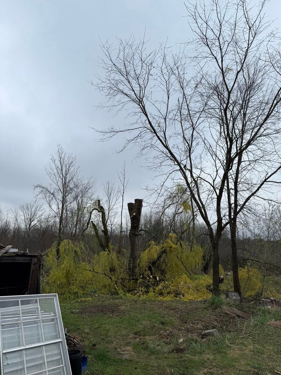 Firewood Cutting and Delivery for Sterlings Tree Removal in Cobleskill, New York