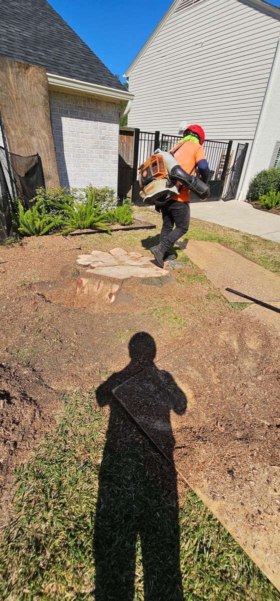 Stump Removal for Servin's Tree Care  in Houston, TX