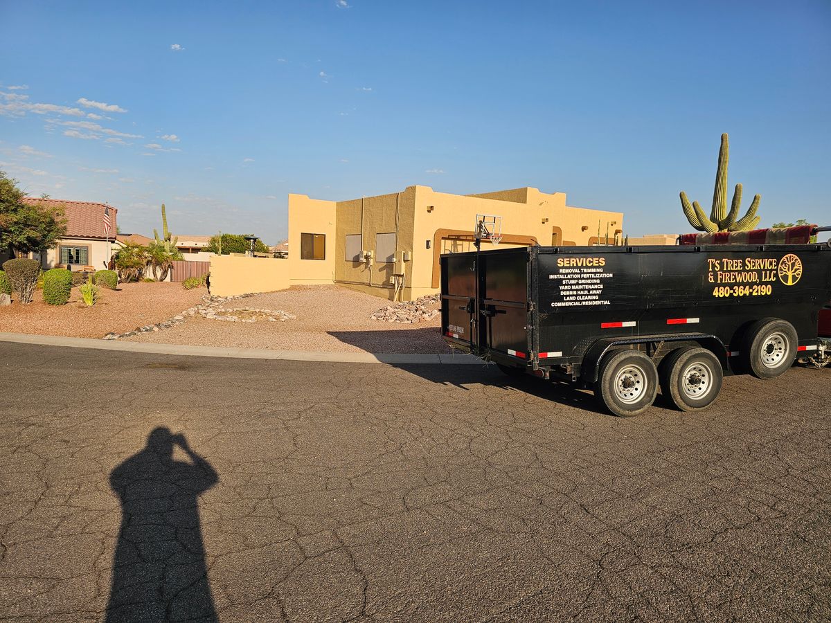 Tree Removal for T's Tree Service and Firewood in Apache Junction, AZ